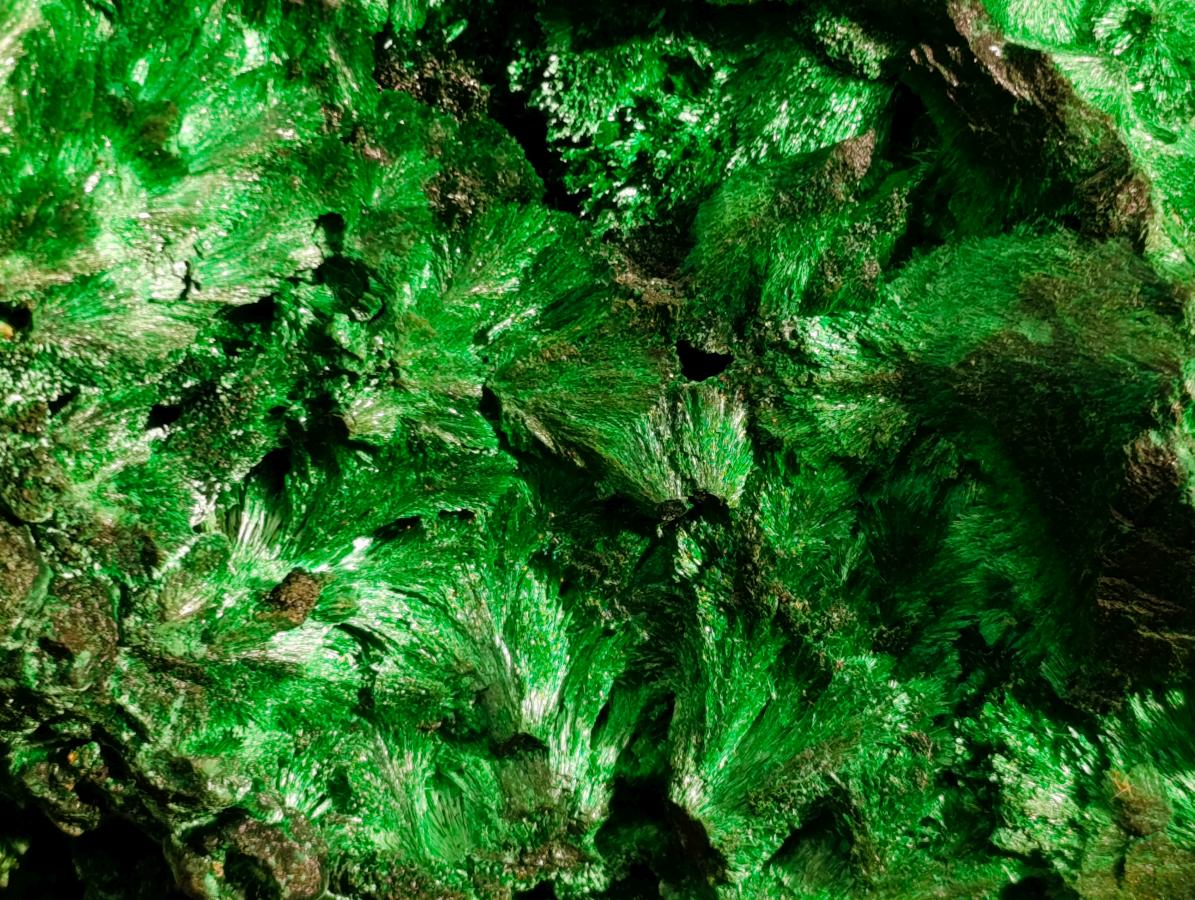 Natural XL Silky Malachite Specimen x 1 From Kasompe, Congo - Toprock Gemstones and Minerals 