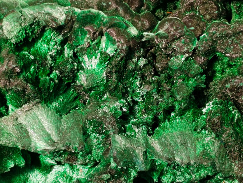 Natural XL Silky Malachite Specimen x 1 From Kasompe, Congo - Toprock Gemstones and Minerals 