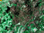 Natural XL Silky Malachite Specimen x 1 From Kasompe, Congo - Toprock Gemstones and Minerals 