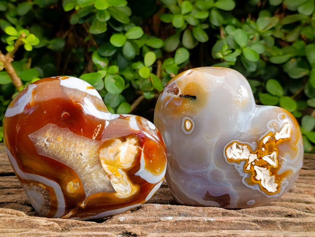 Polished Large Lemur Island Carnelian Agate Crystalline Hearts x 6 From Nosy Varika, Madagascar - Toprock Gemstones and Minerals 