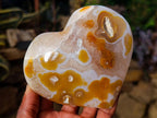Polished Large Lemur Island Carnelian Agate Crystalline Hearts x 6 From Nosy Varika, Madagascar - Toprock Gemstones and Minerals 