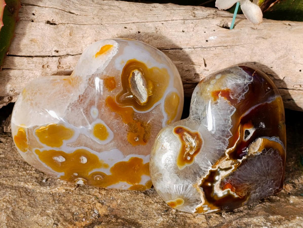 Polished Large Lemur Island Carnelian Agate Crystalline Hearts x 6 From Nosy Varika, Madagascar - Toprock Gemstones and Minerals 