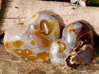 Polished Large Lemur Island Carnelian Agate Crystalline Hearts x 6 From Nosy Varika, Madagascar - Toprock Gemstones and Minerals 