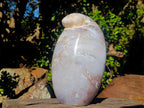Polished Large Ocean Jasper Standing Display Piece x 1 From Northwest Coast, Madagascar - Toprock Gemstones and Minerals 