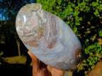 Polished Large Ocean Jasper Standing Display Piece x 1 From Northwest Coast, Madagascar - Toprock Gemstones and Minerals 