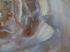 Polished Large Ocean Jasper Standing Display Piece x 1 From Northwest Coast, Madagascar - Toprock Gemstones and Minerals 