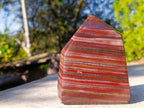Polished Banded Tiger Iron Display Crystals x 2 From South Africa - Toprock Gemstones and Minerals 