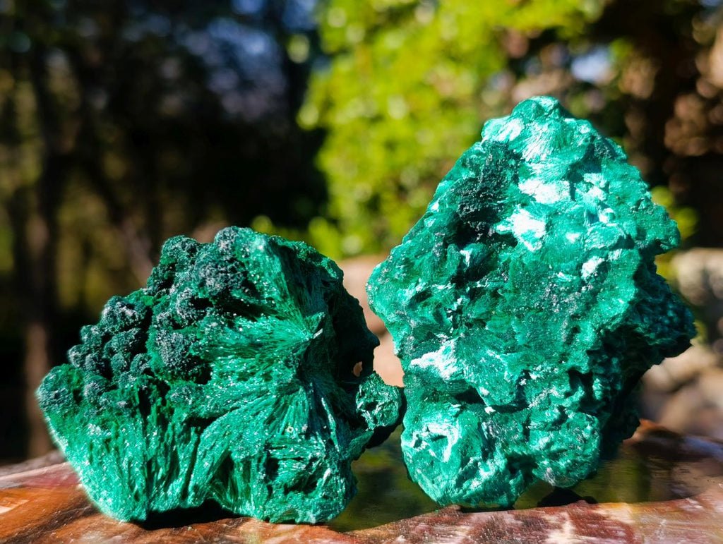 Natural Silky Malachite Specimens x 6 From Kasompe, Congo - Toprock Gemstones and Minerals 
