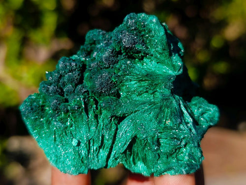 Natural Silky Malachite Specimens x 6 From Kasompe, Congo - Toprock Gemstones and Minerals 