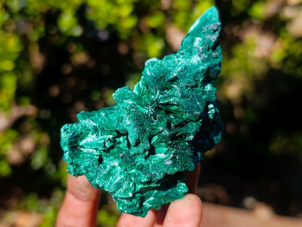 Natural Silky Malachite Specimens x 6 From Kasompe, Congo - Toprock Gemstones and Minerals 