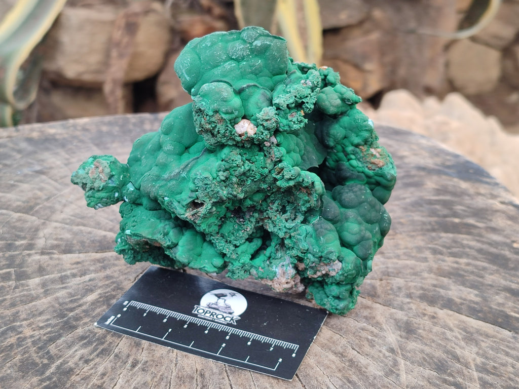 Natural Large Botryoidal Malachite Specimens with Chrysocolla x 2 From Congo - Toprock Gemstones and Minerals 