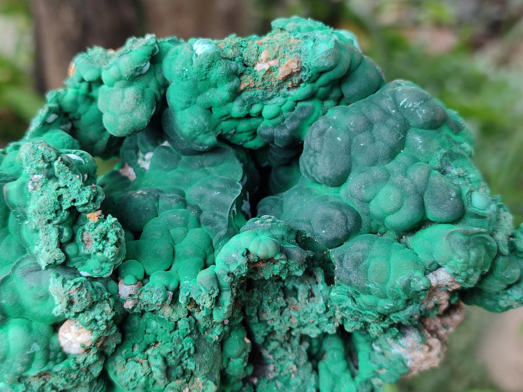 Natural Large Botryoidal Malachite Specimens with Chrysocolla x 2 From Congo - Toprock Gemstones and Minerals 