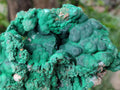 Natural Large Botryoidal Malachite Specimens with Chrysocolla x 2 From Congo - Toprock Gemstones and Minerals 