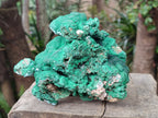 Natural Large Botryoidal Malachite Specimens with Chrysocolla x 2 From Congo - Toprock Gemstones and Minerals 