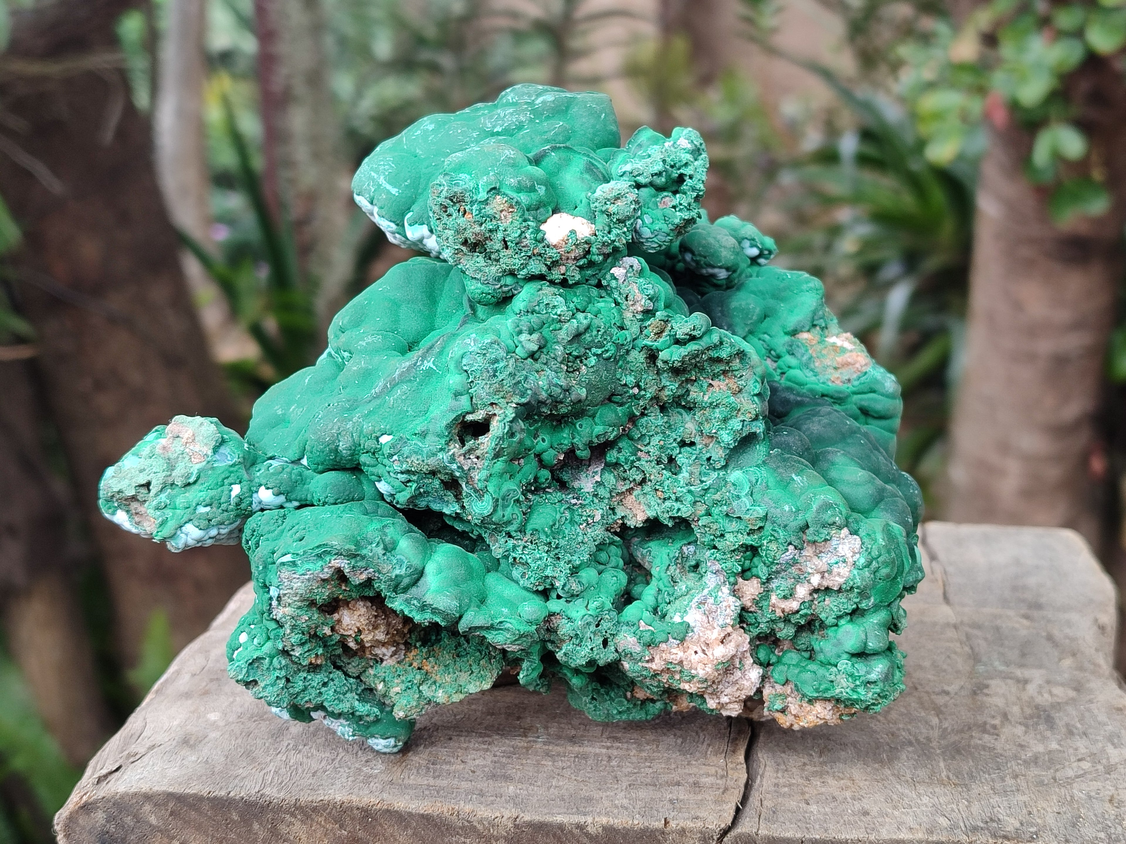 Natural Large Botryoidal Malachite Specimens with Chrysocolla x 2 From Congo - Toprock Gemstones and Minerals 