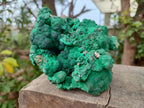 Natural Large Botryoidal Malachite Specimens with Chrysocolla x 2 From Congo - Toprock Gemstones and Minerals 