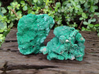 Natural Large Botryoidal Malachite Specimens with Chrysocolla x 2 From Congo - Toprock Gemstones and Minerals 