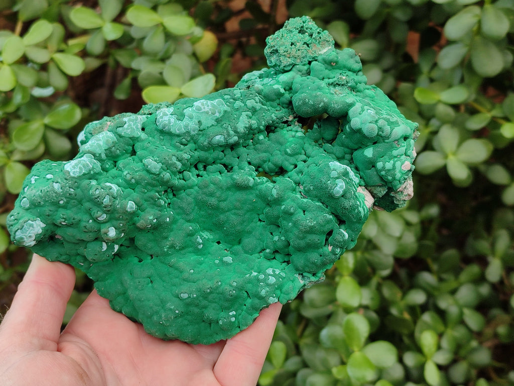 Natural Large Botryoidal Malachite Specimens with Chrysocolla x 2 From Congo - Toprock Gemstones and Minerals 