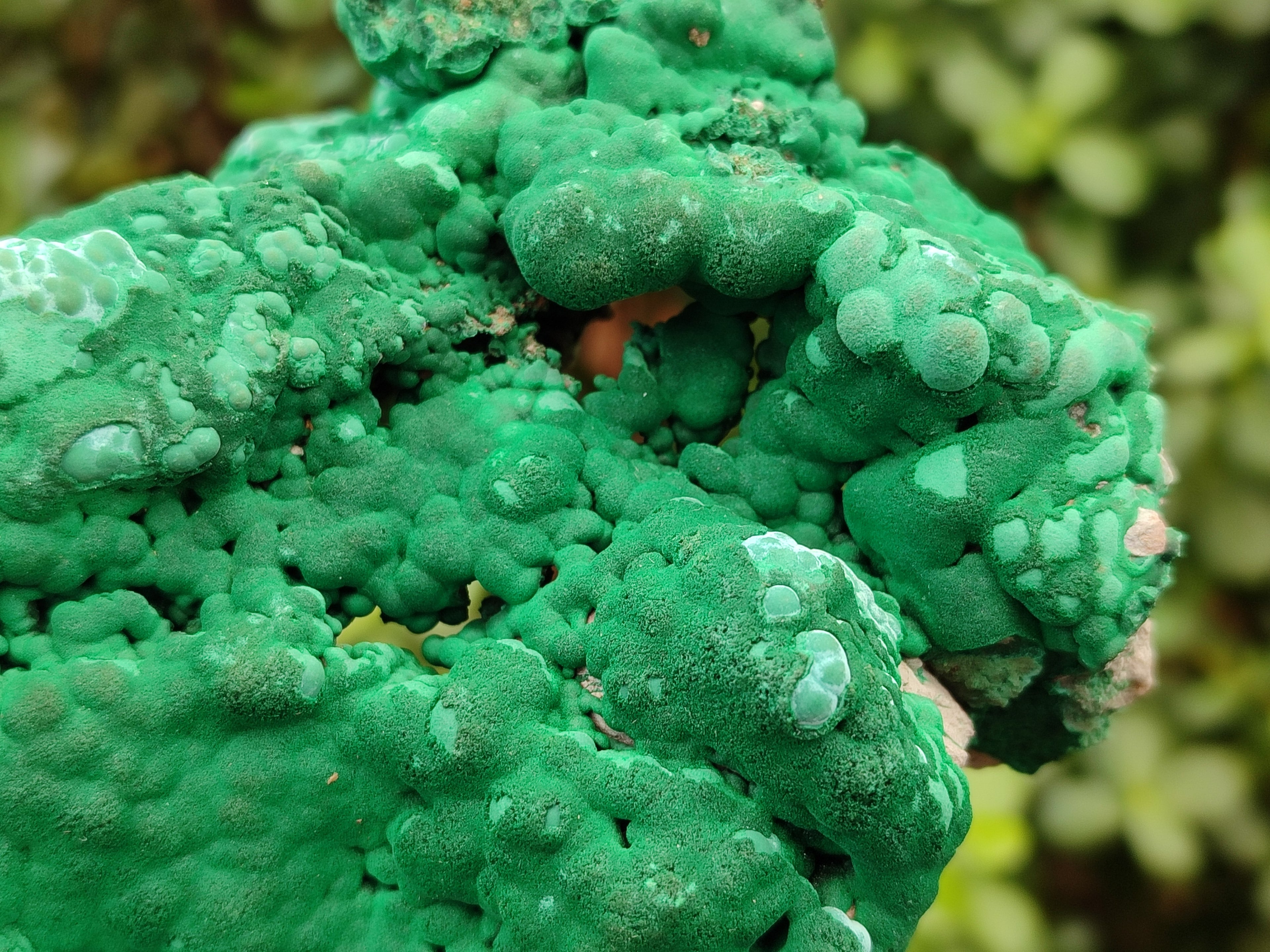 Natural Large Botryoidal Malachite Specimens with Chrysocolla x 2 From Congo - Toprock Gemstones and Minerals 