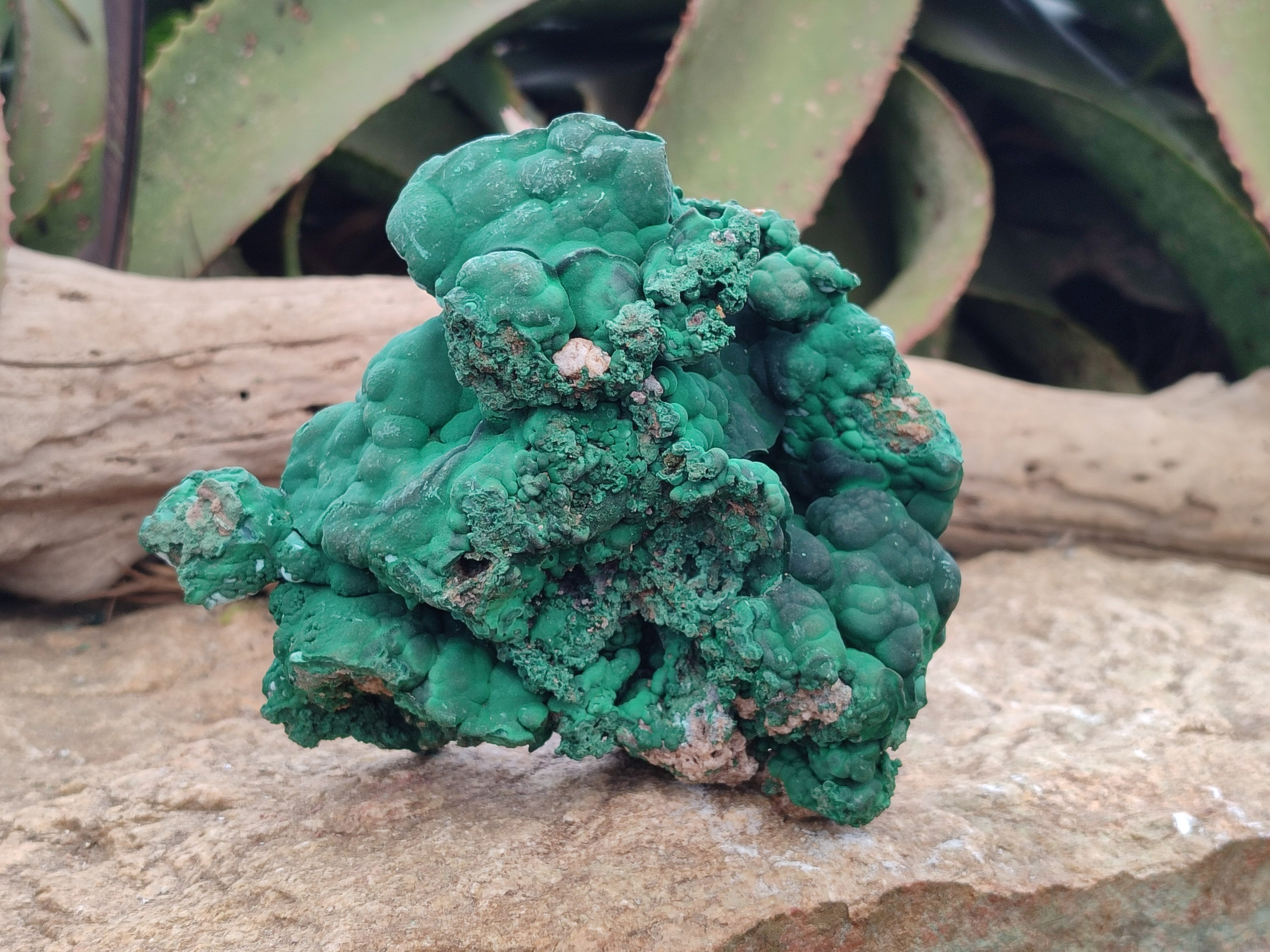Natural Large Botryoidal Malachite Specimens with Chrysocolla x 2 From Congo - Toprock Gemstones and Minerals 