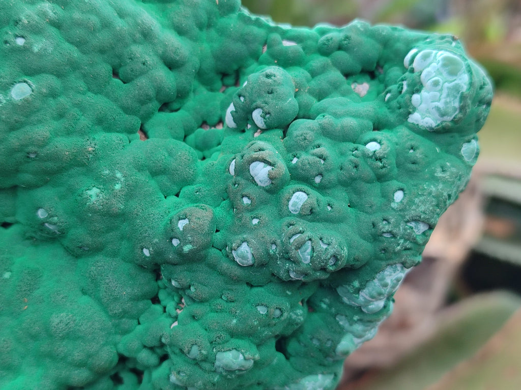 Natural Large Botryoidal Malachite Specimens with Chrysocolla x 2 From Congo - Toprock Gemstones and Minerals 