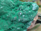 Natural Large Botryoidal Malachite Specimens with Chrysocolla x 2 From Congo - Toprock Gemstones and Minerals 