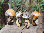 Polished Large Septerye Mushrooms x 6 From Mahajanga, Madagascar