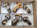 Polished Large Septerye Mushrooms x 6 From Mahajanga, Madagascar