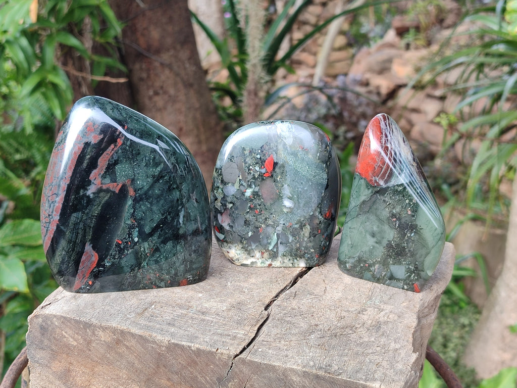 Polished Bloodstone Standing Display Pieces x 3 From Swaziland - Toprock Gemstones and Minerals 