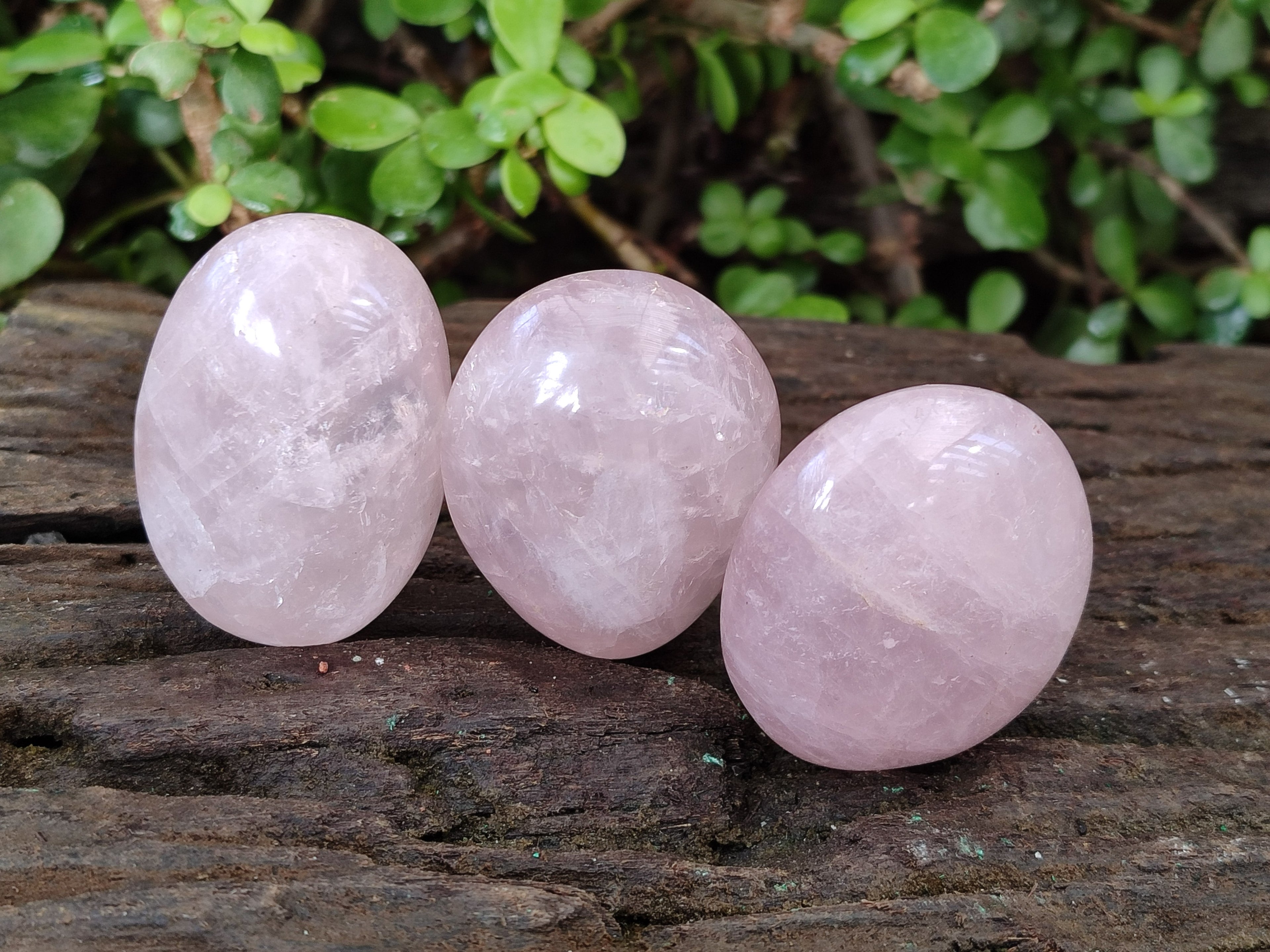 Polished Gemmy Rose Quartz Palm Stones x 24 From Madagascar - Toprock Gemstones and Minerals 