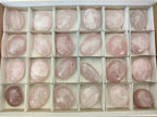 Polished Gemmy Rose Quartz Palm Stones x 24 From Madagascar - Toprock Gemstones and Minerals 