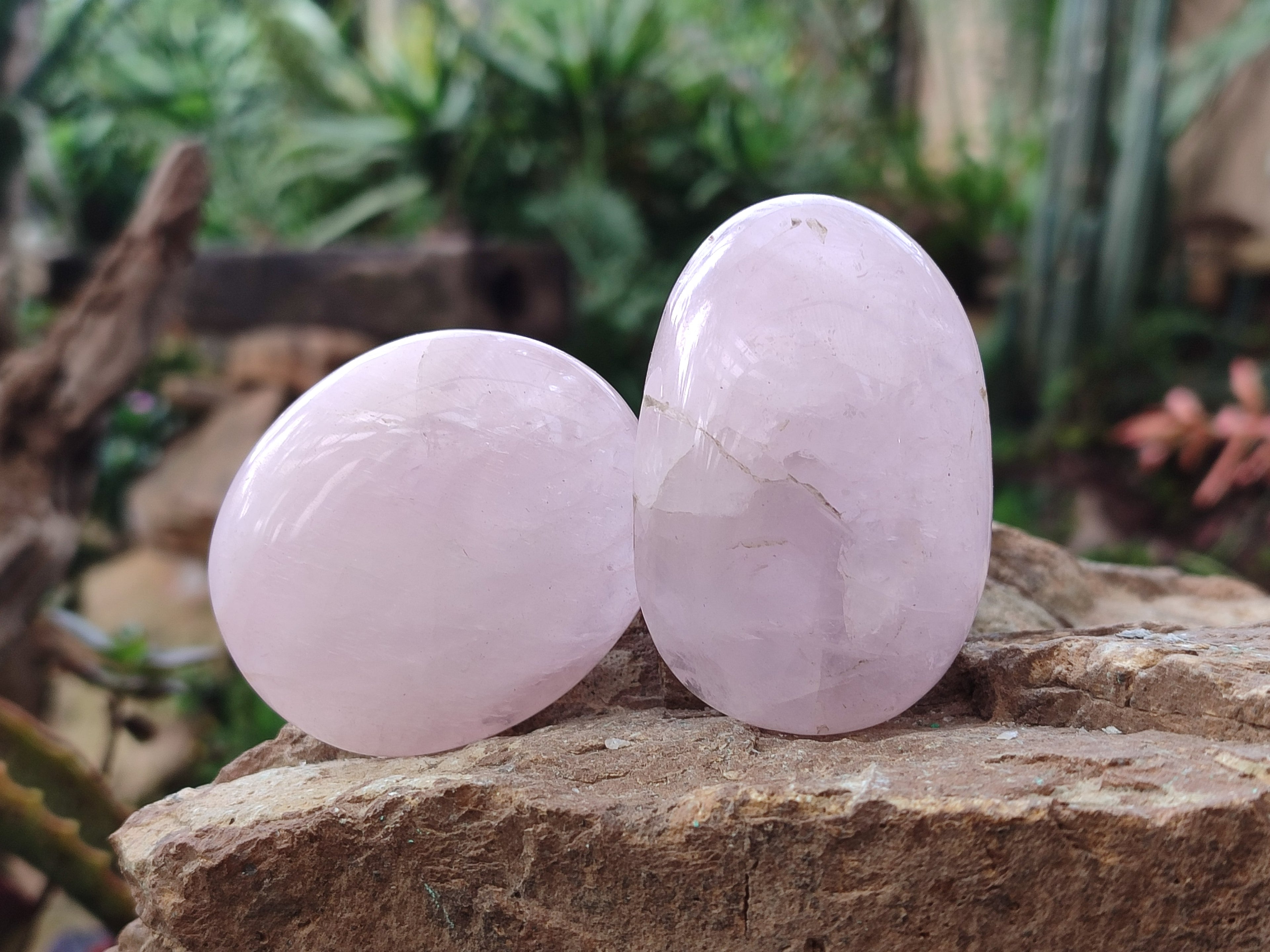 Polished Gemmy Rose Quartz Palm Stones x 24 From Madagascar - Toprock Gemstones and Minerals 