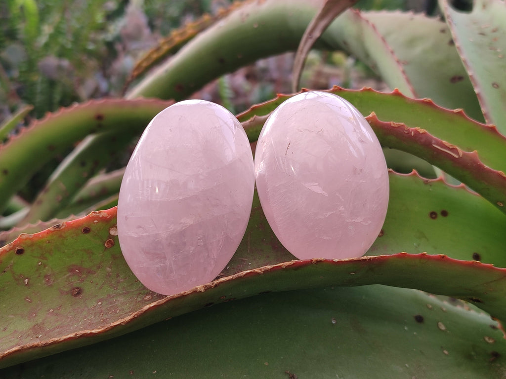 Polished Gemmy Rose Quartz Palm Stones x 24 From Madagascar - Toprock Gemstones and Minerals 
