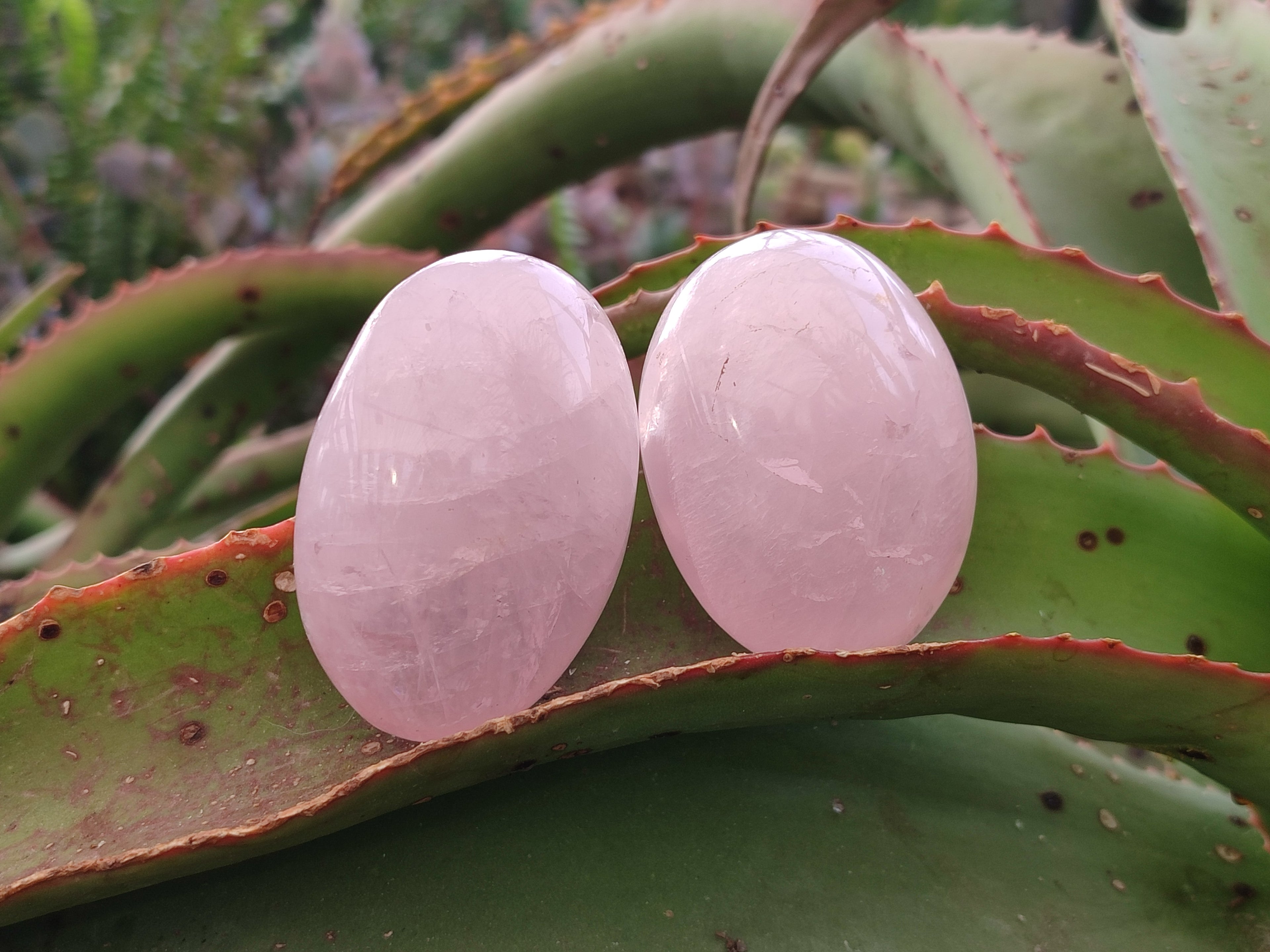 Polished Gemmy Rose Quartz Palm Stones x 24 From Madagascar - Toprock Gemstones and Minerals 
