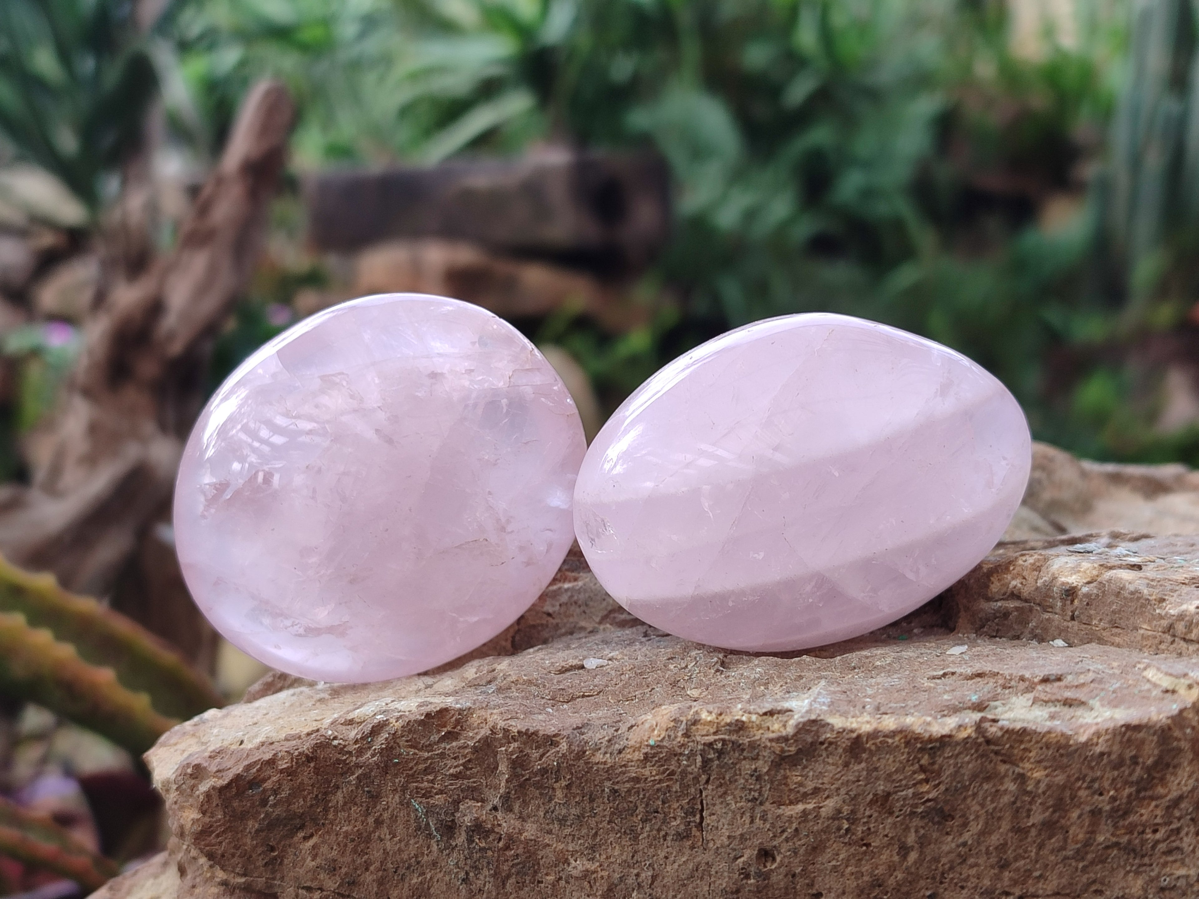 Polished Gemmy Rose Quartz Palm Stones x 24 From Madagascar - Toprock Gemstones and Minerals 