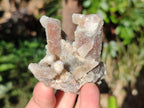 Natural Fairy Spirit Quartz Crystals and Clusters x 35 From Boekenhouthoek, South Africa - Toprock Gemstones and Minerals 