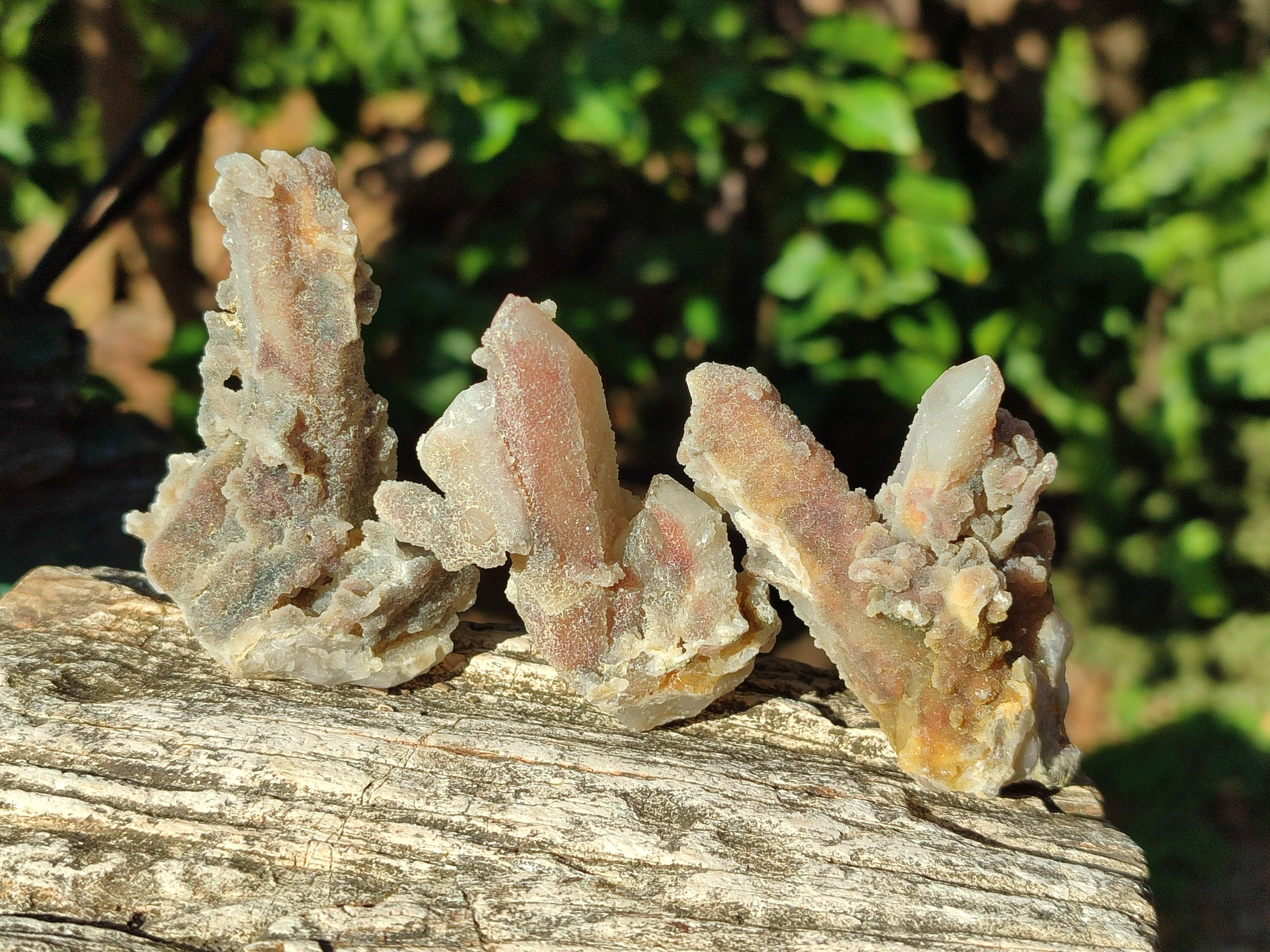 Natural Fairy Spirit Quartz Crystals and Clusters x 35 From Boekenhouthoek, South Africa - Toprock Gemstones and Minerals 