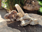 Natural Fairy Spirit Quartz Crystals and Clusters x 35 From Boekenhouthoek, South Africa - Toprock Gemstones and Minerals 