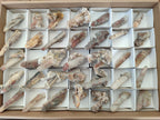 Natural Fairy Spirit Quartz Crystals and Clusters x 35 From Boekenhouthoek, South Africa - Toprock Gemstones and Minerals 