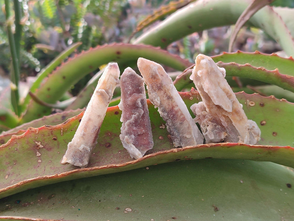 Natural Fairy Spirit Quartz Crystals and Clusters x 35 From Boekenhouthoek, South Africa - Toprock Gemstones and Minerals 
