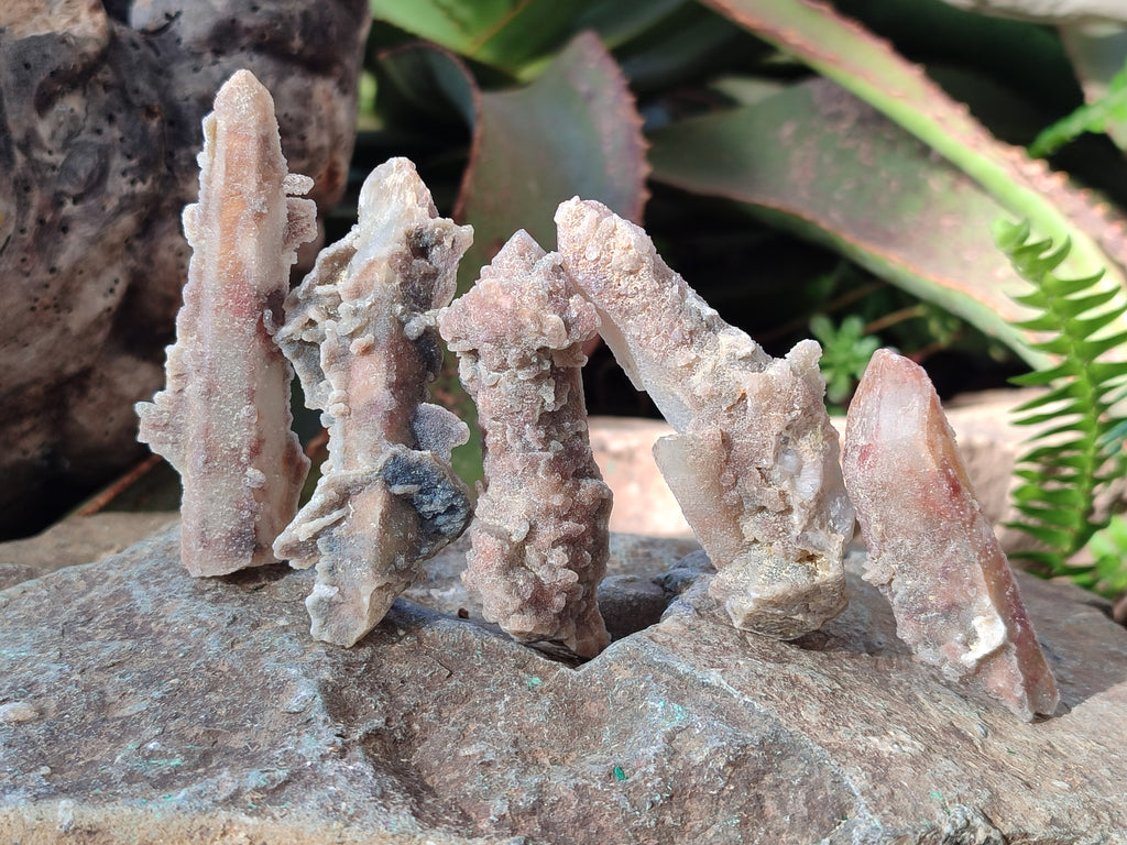 Natural Fairy Spirit Quartz Crystals and Clusters x 35 From Boekenhouthoek, South Africa - Toprock Gemstones and Minerals 