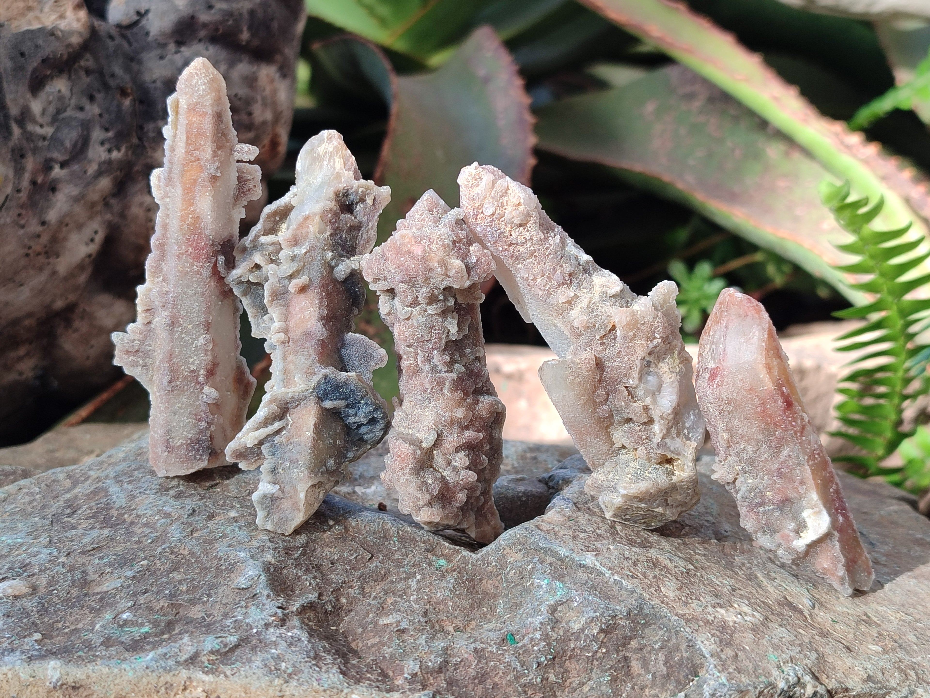Natural Fairy Spirit Quartz Crystals and Clusters x 35 From Boekenhouthoek, South Africa - Toprock Gemstones and Minerals 