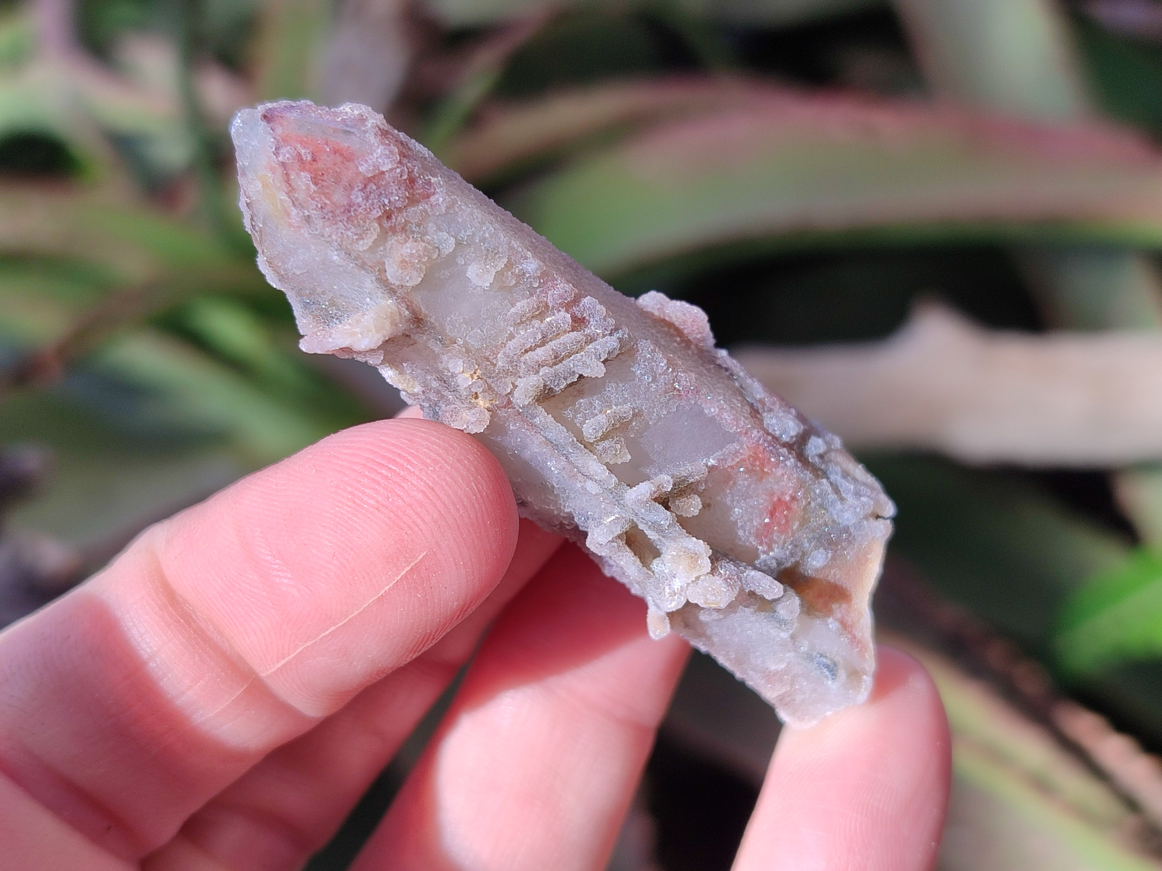 Natural Fairy Spirit Quartz Crystals and Clusters x 35 From Boekenhouthoek, South Africa - Toprock Gemstones and Minerals 