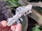 Natural Fairy Spirit Quartz Crystals and Clusters x 35 From Boekenhouthoek, South Africa - Toprock Gemstones and Minerals 
