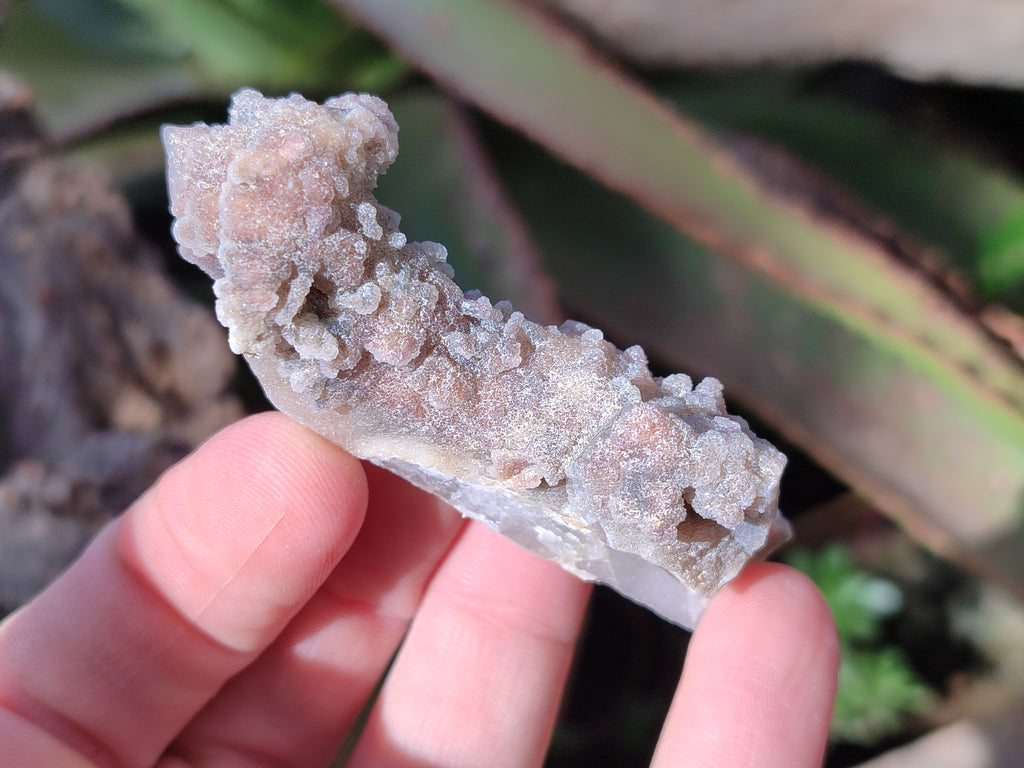 Natural Fairy Spirit Quartz Crystals and Clusters x 35 From Boekenhouthoek, South Africa - Toprock Gemstones and Minerals 