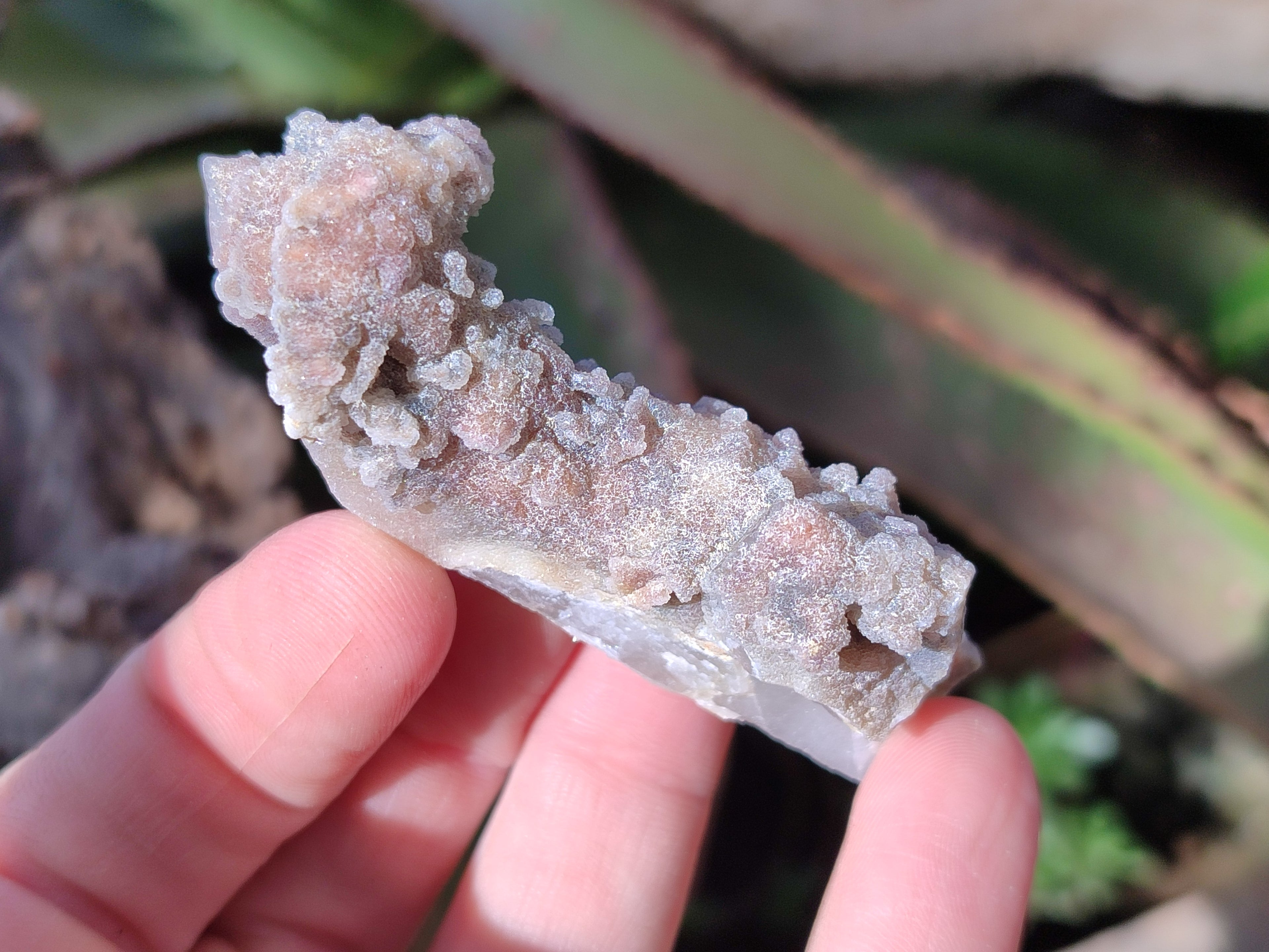 Natural Fairy Spirit Quartz Crystals and Clusters x 35 From Boekenhouthoek, South Africa - Toprock Gemstones and Minerals 
