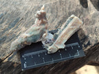Natural Fairy Spirit Quartz Crystals and Clusters x 35 From Boekenhouthoek, South Africa - Toprock Gemstones and Minerals 