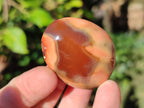 Polished Carnelian Agate Gemstone Galets x 35 From Madagascar - Toprock Gemstones and Minerals 