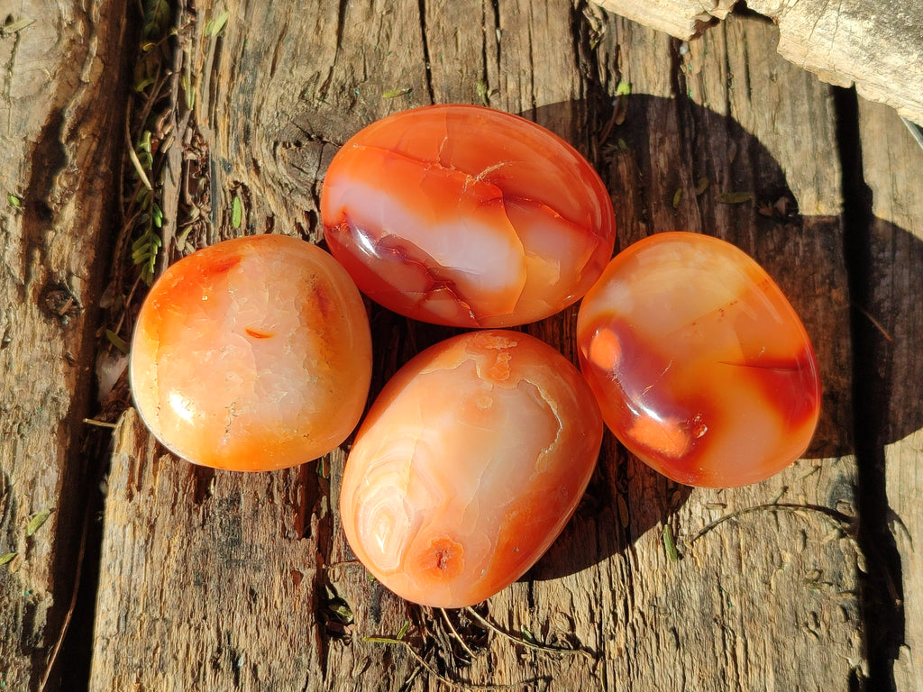 Polished Carnelian Agate Gemstone Galets x 35 From Madagascar - Toprock Gemstones and Minerals 