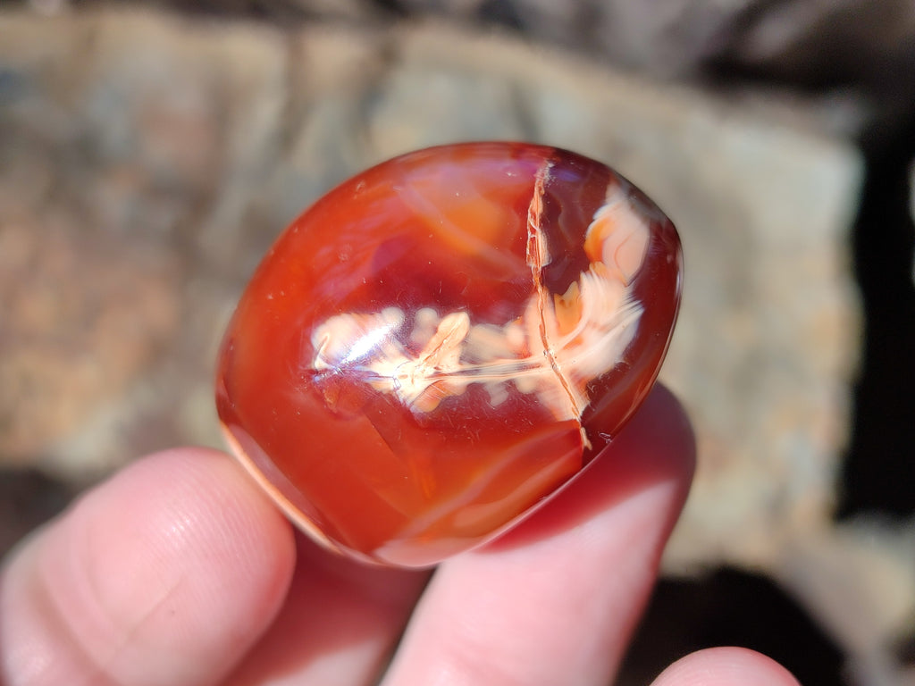 Polished Carnelian Agate Gemstone Galets x 35 From Madagascar - Toprock Gemstones and Minerals 